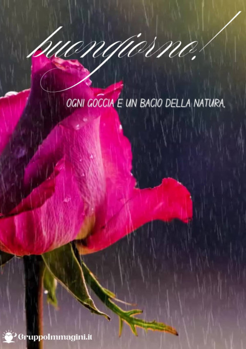 Ogni goccia è un bacio della natura, buongiorno!