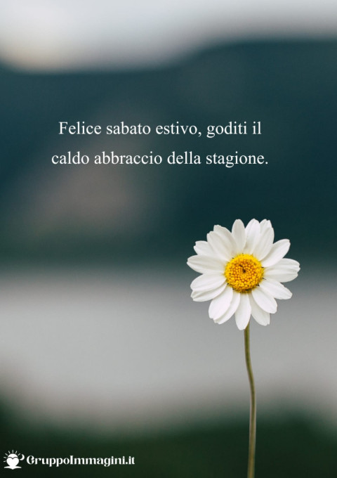 Felice sabato estivo, goditi il caldo abbraccio della stagione