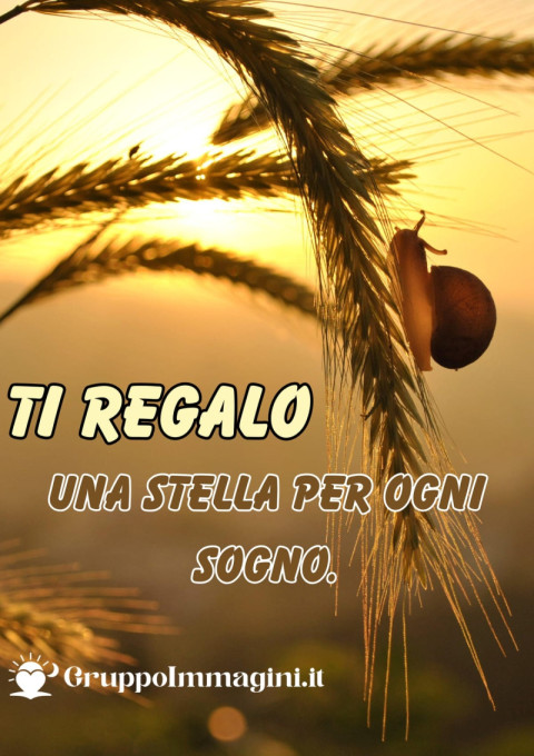 Ti regalo una stella per ogni sogno