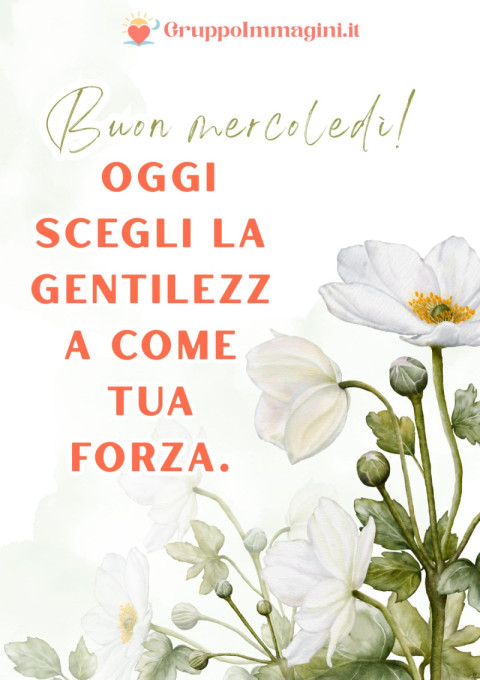 Buon mercoledì! Oggi scegli la gentilezza come tua forza