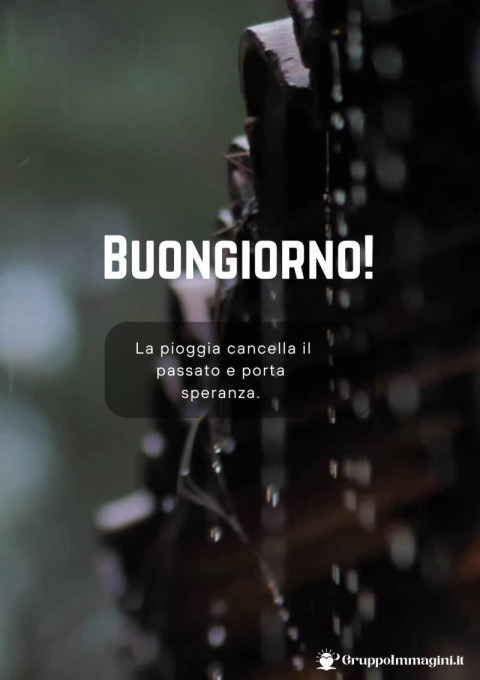 Buongiorno! La pioggia cancella il passato e porta speranza