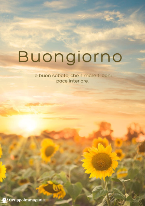 Buongiorno e buon sabato, che il mare ti doni pace interiore