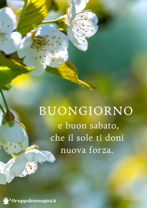 Buongiorno e buon sabato, che il sole ti doni nuova forza