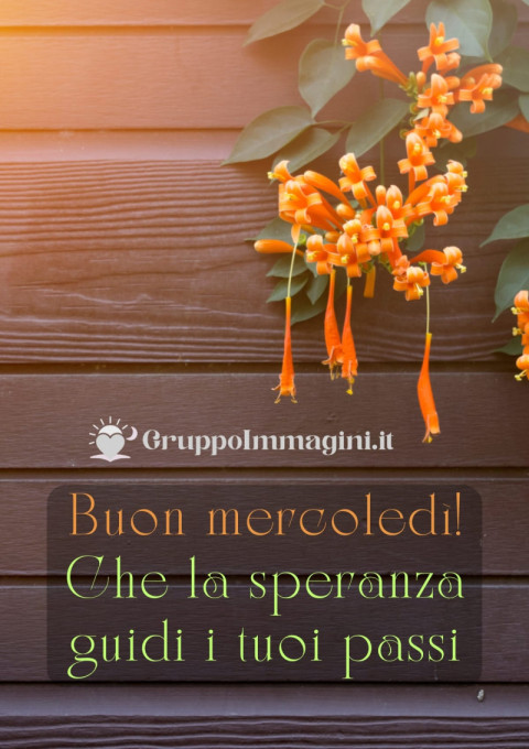 Buon mercoledì! Che la speranza guidi i tuoi passi