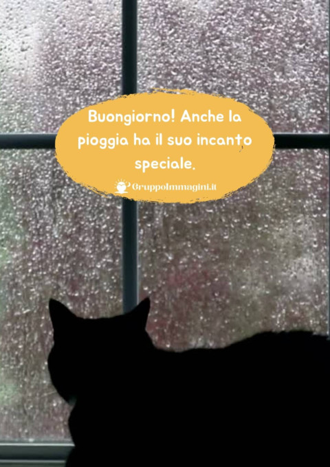 Buongiorno! Anche la pioggia ha il suo incanto speciale