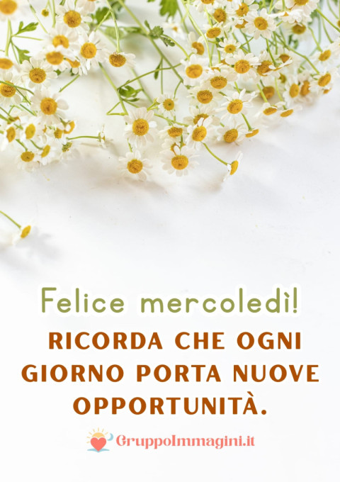 Felice mercoledì! Ricorda che ogni giorno porta nuove opportunità