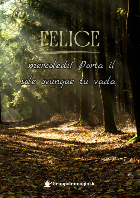 Felice mercoledì! Porta il sole ovunque tu vada