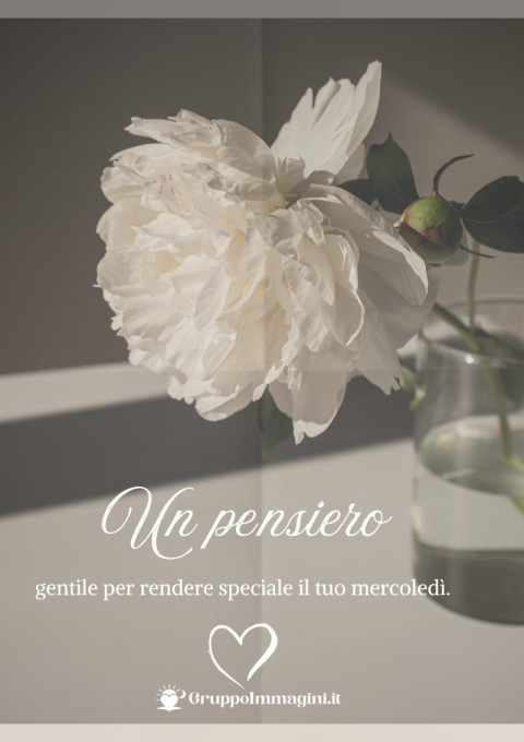 Un pensiero gentile per rendere speciale il tuo mercoledì