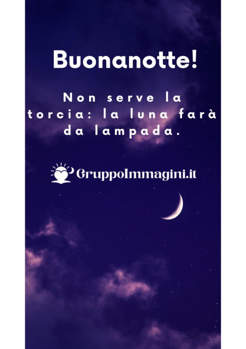 Buonanotte! Non serve la torcia la luna farà da lampada