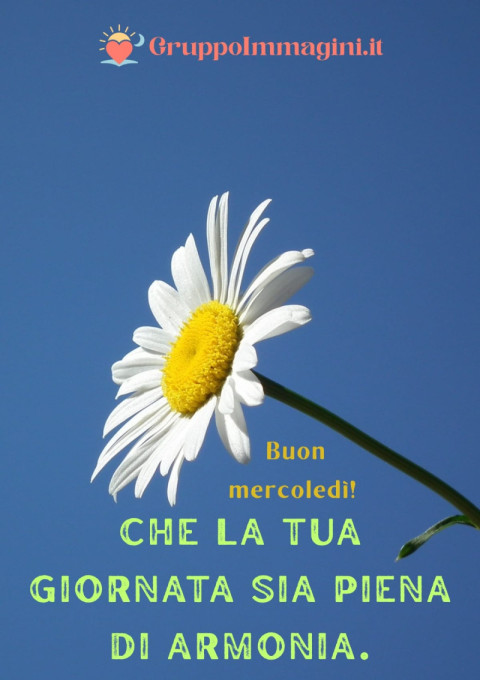 Buon mercoledì! Che la tua giornata sia piena di armonia