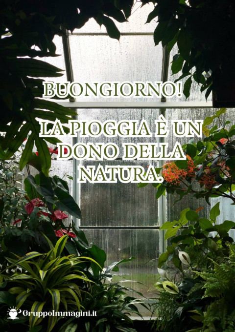 Buongiorno! La pioggia è un dono della natura