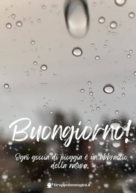 Buongiorno! Ogni goccia di pioggia è un abbraccio della natura