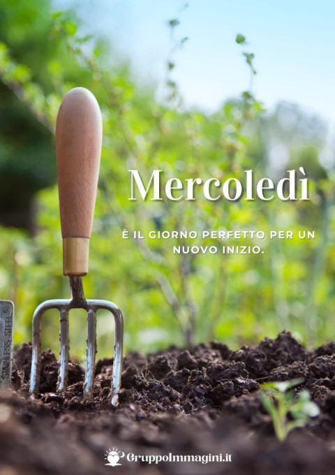 Mercoledì è il giorno perfetto per un nuovo inizio