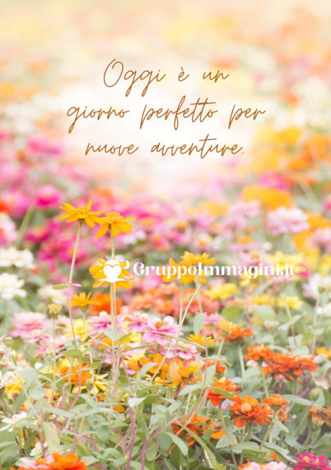 Oggi è un giorno perfetto per nuove avventure