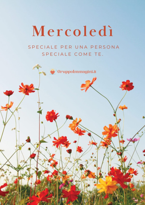 Mercoledì speciale per una persona speciale come te