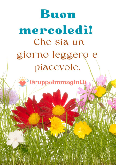 Buon mercoledì! Che sia un giorno leggero e piacevole