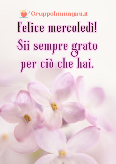 Felice mercoledì! Sii sempre grato per ciò che hai