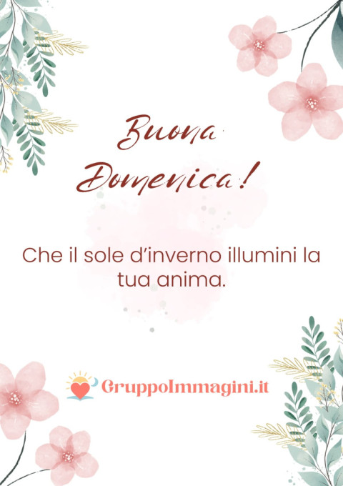 Buona Domenica! Che il sole d’inverno illumini la tua anima