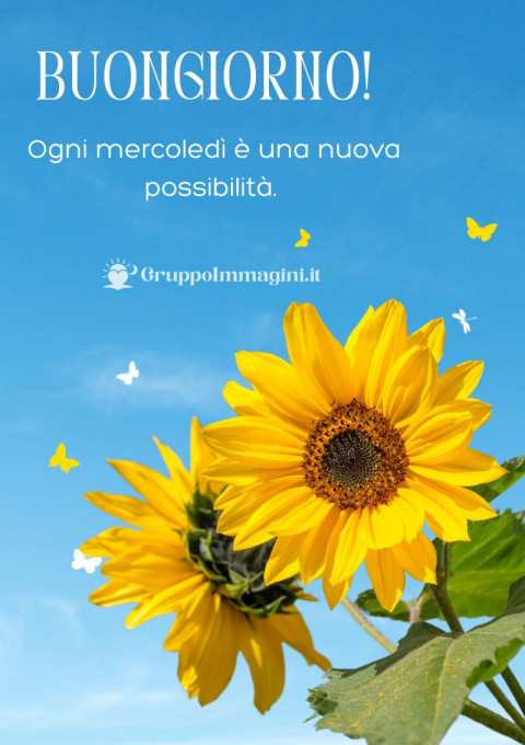 Buongiorno! Ogni mercoledì è una nuova possibilità