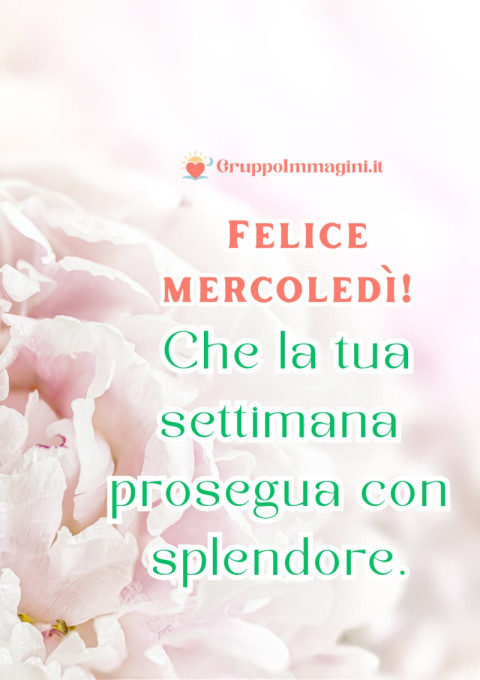 Felice mercoledì! Che la tua settimana prosegua con splendore