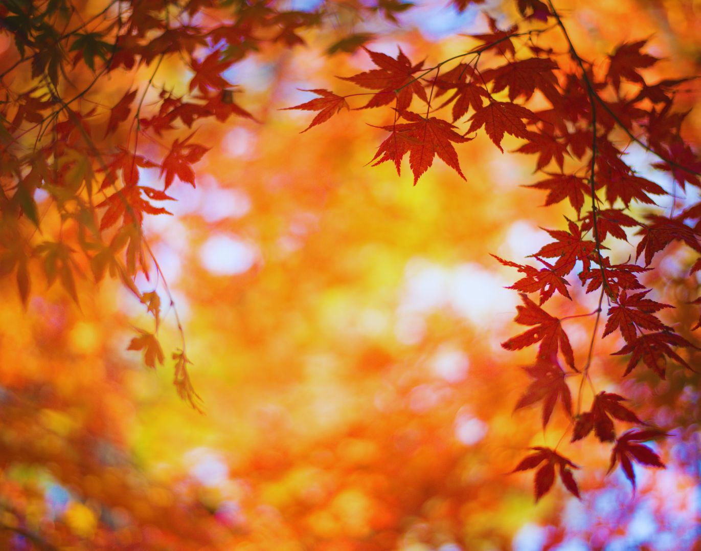 50+ Buongiorno Buon Sabato Autunnale Immagini Belle category thumbnail