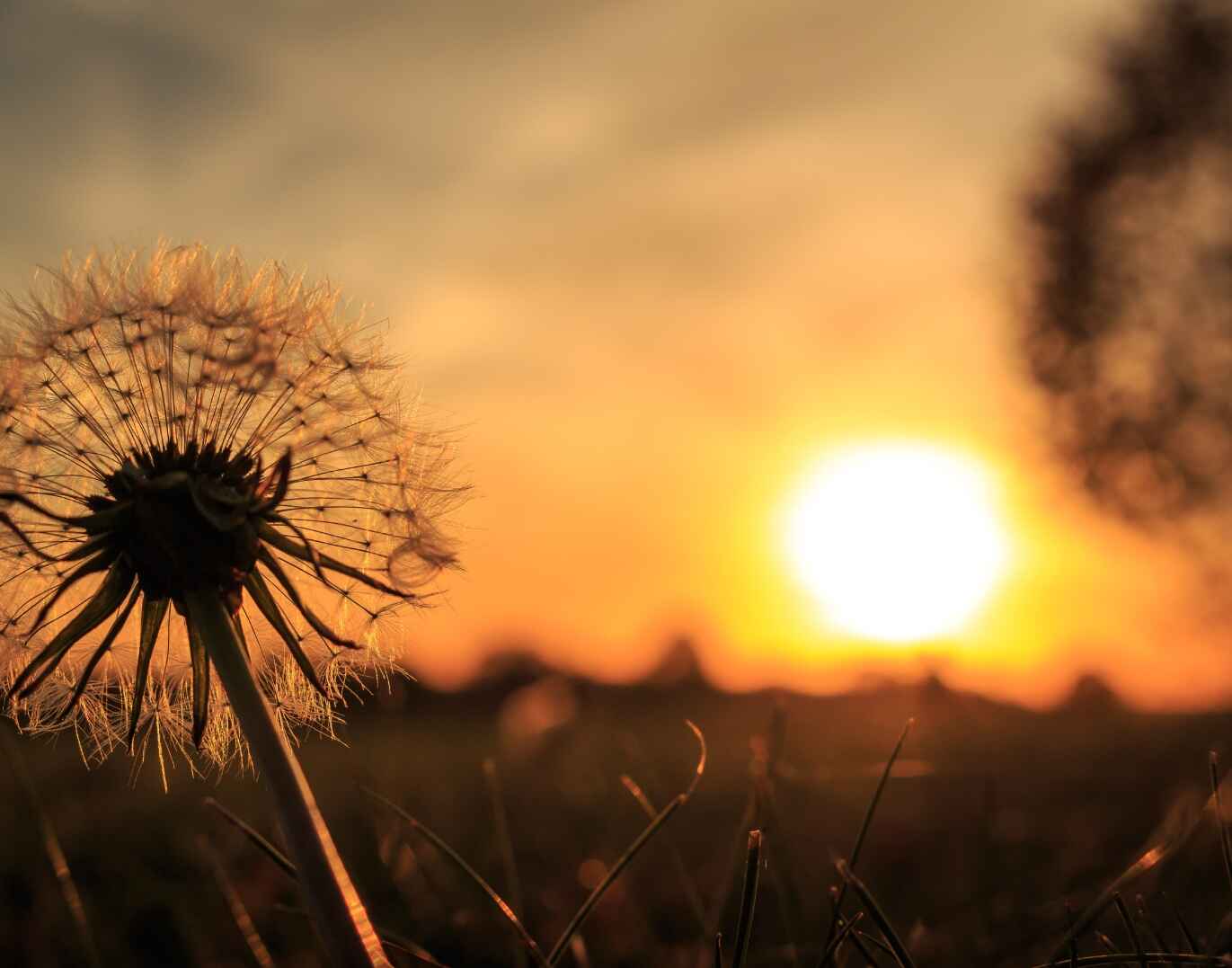 50+ Originali Nuovissimo Buongiorno Immagini Recenti per WhatsApp e Social category thumbnail