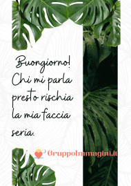 Buongiorno! Chi mi parla presto rischia la mia faccia seria