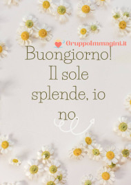 Buongiorno! Il sole splende, io no