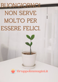 Buongiorno! Non serve molto per essere felici