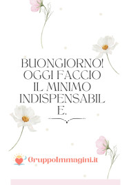 Buongiorno! Oggi faccio il minimo indispensabile