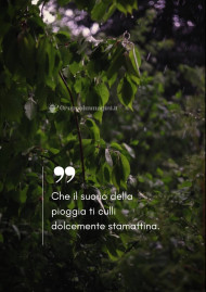 Che il suono della pioggia ti culli dolcemente stamattina