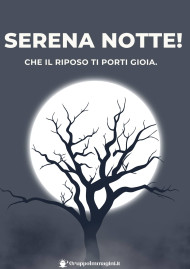 Serena notte! Che il riposo ti porti gioia